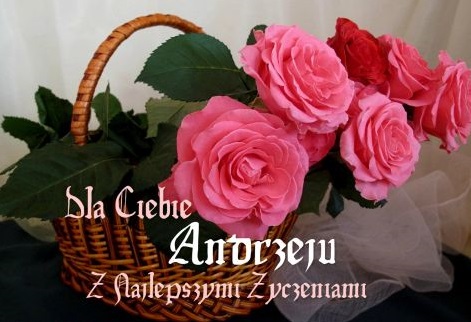 Bukiet różowych róż na andrzejki